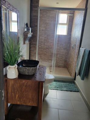 Shower, towels, soap, toilet paper