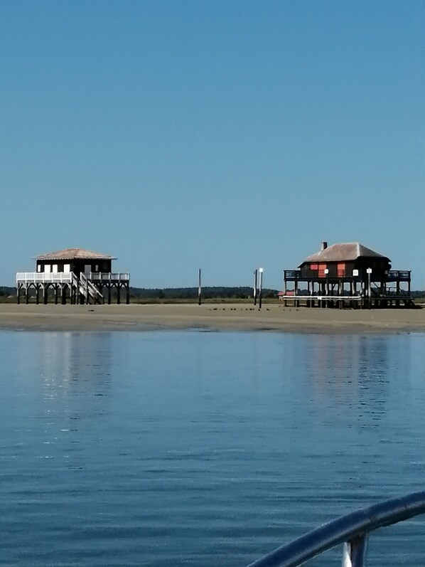 On the beach - Pretty villa in a green setting close to the beach (LEGE CAP FERRET)