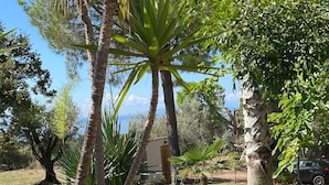 A well-maintained garden with palm trees, a small palm tree, and a grassy area. - Luxury-Unique-Homes 1 Capo Vaticano Tropea (Santa Maria Di Ricadi)