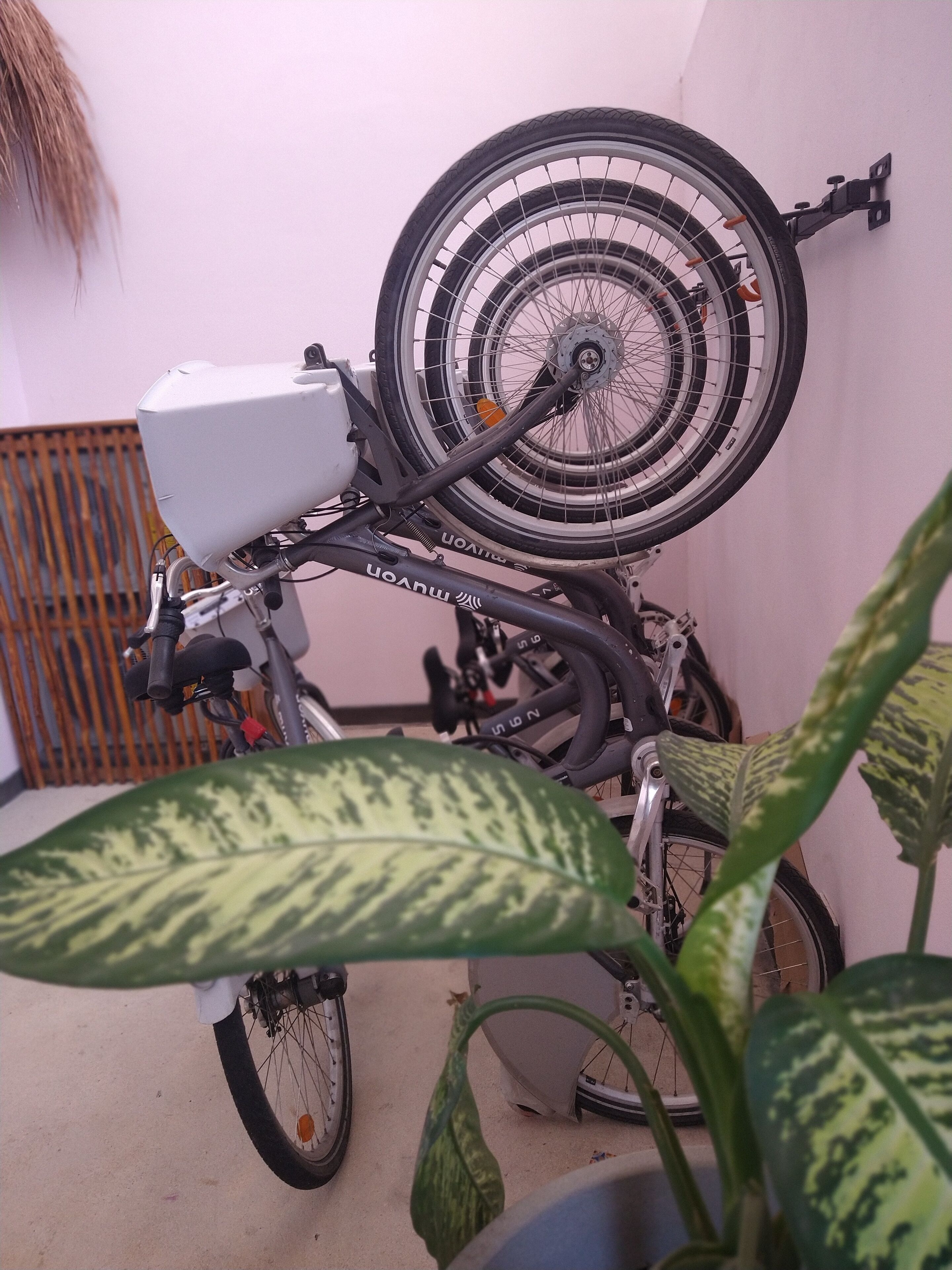 Photo - Itza Hotel Akumal