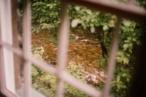 Vista desde la habitación