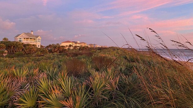 Una proprietà costiera con una grande casa e diversi edifici, immersa in una vegetazione rigogliosa e con una spiaggia sullo sfondo.