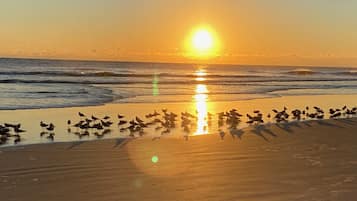 Beach nearby, sun-loungers, beach towels