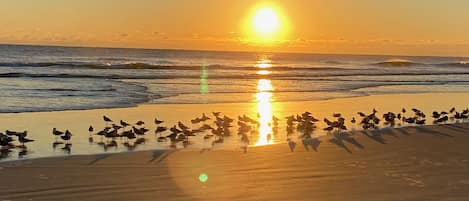 Una playa cerca, sillas reclinables de playa, toallas de playa