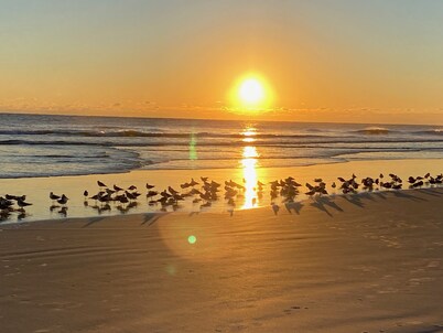 4-Min to Ocean Getaway Condo Palm Coast FL