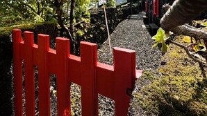 Een pad dat door een tuin slingert, met een rode poort, omringd door begroeiing en een stenen muur.