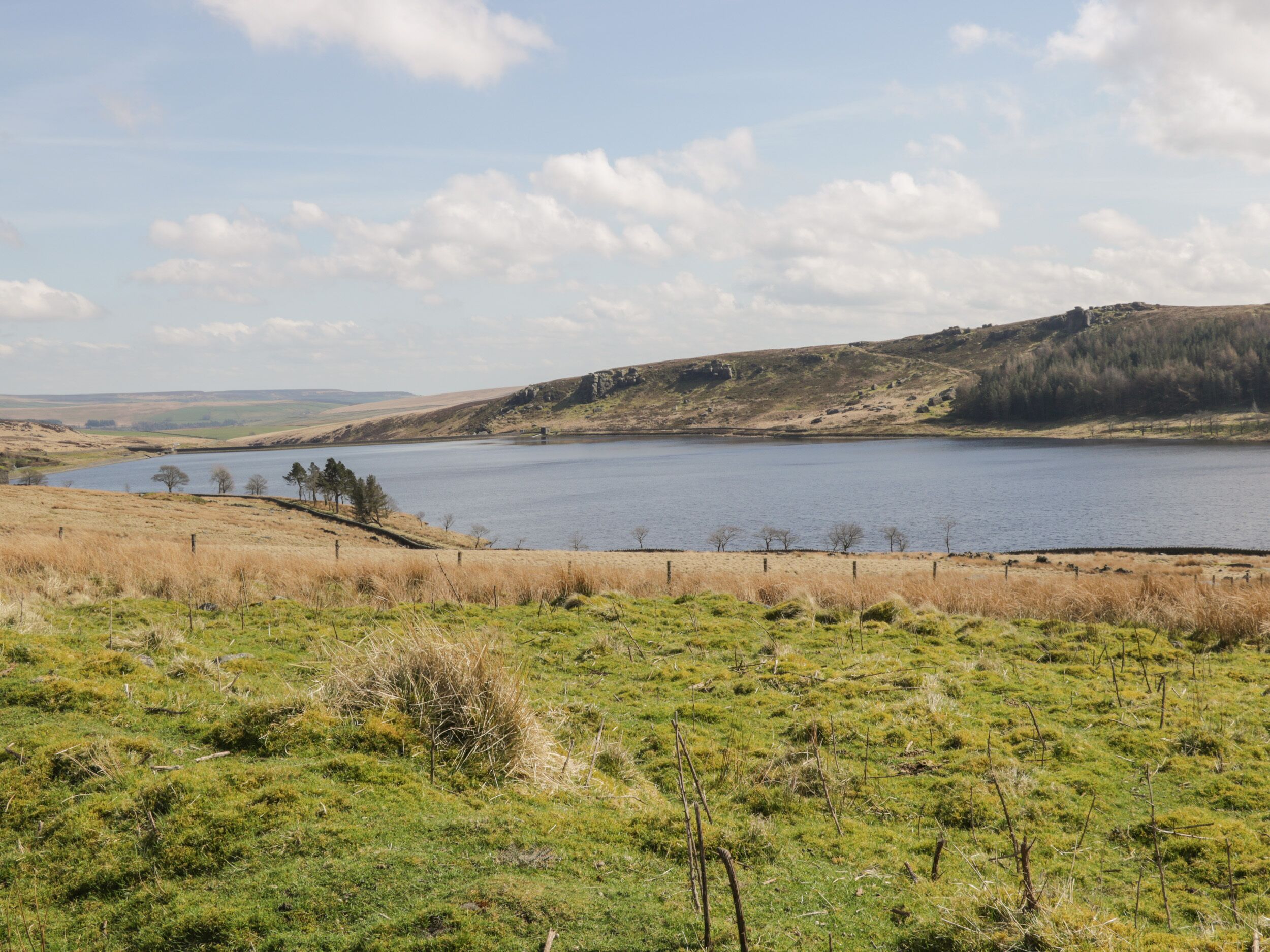 A lake surrounded by grassy hills and sparse trees.