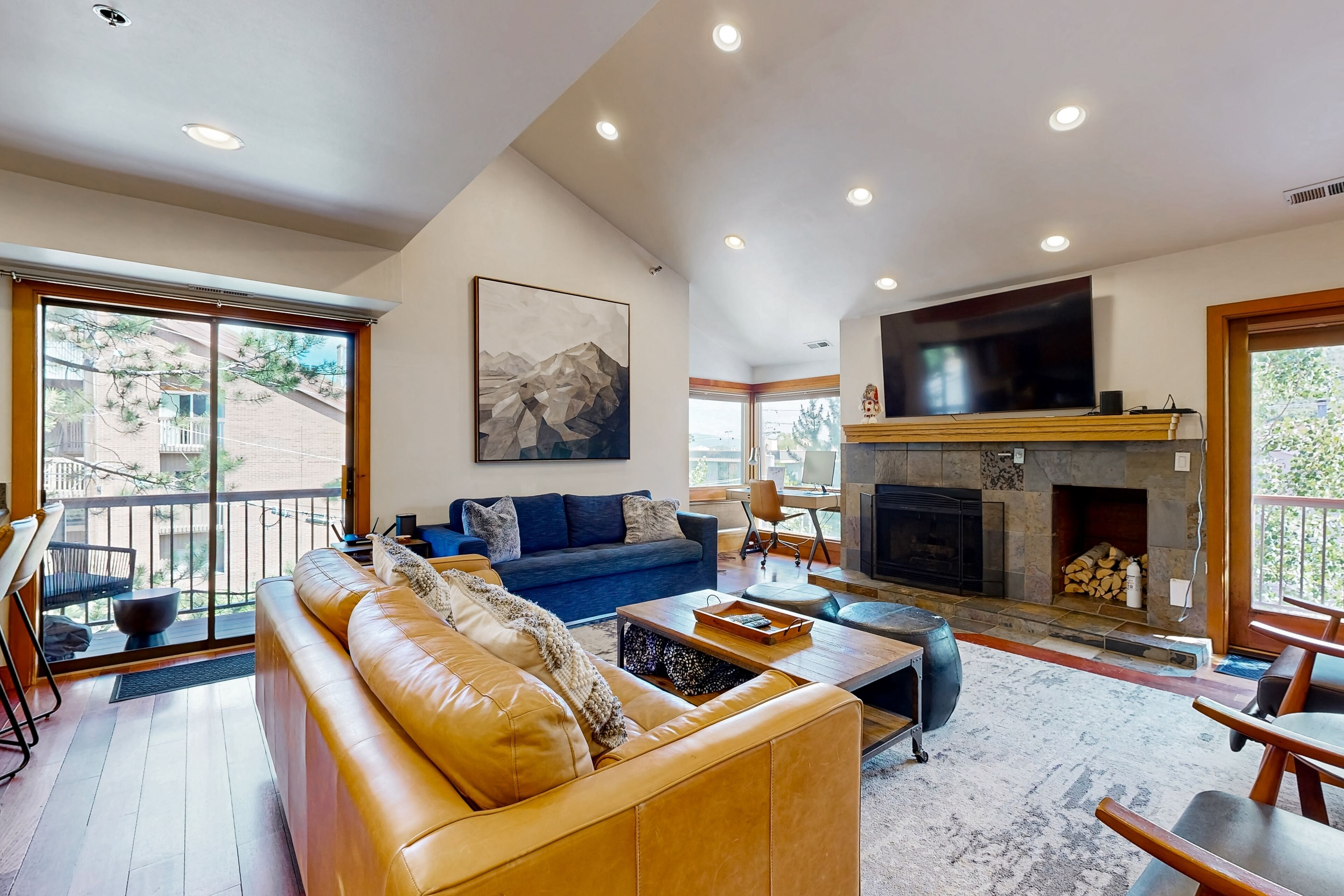 TV, fireplace, video games, DVD player