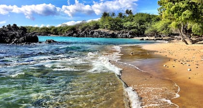 Lovely A-frame home with lanai, WIFI and washer & dryer - near the beach