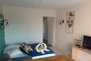 1 bedroom, WiFi