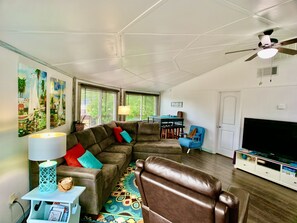 Smart TV, DVD player, books, video library