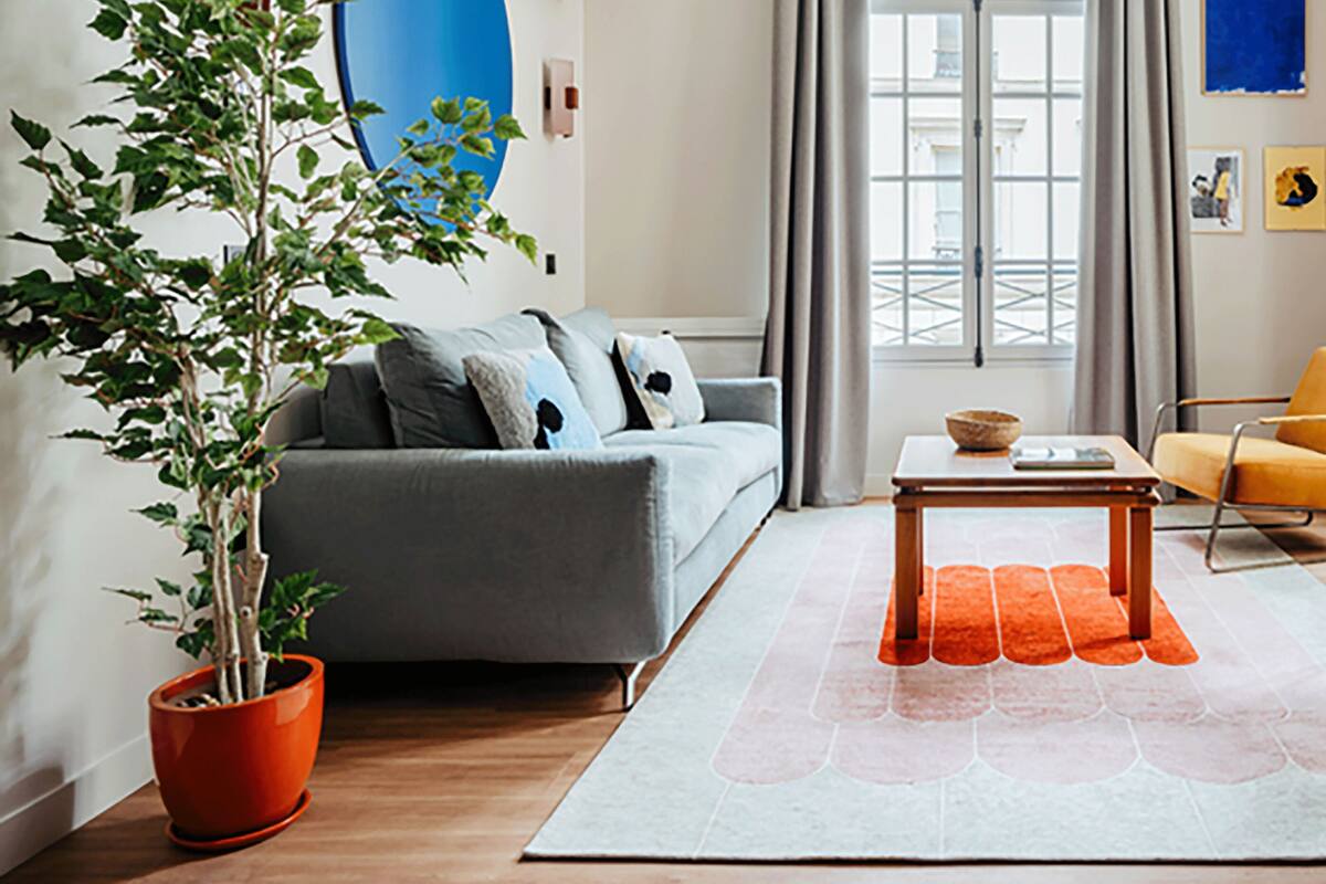 A living room with a grey sofa, orange rug, and a potted plant.