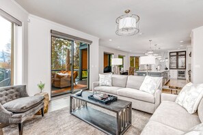 TV, fireplace, DVD player