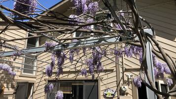 DĂ©tail de lâextĂ©rieur