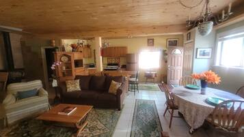 TV connectée, cheminée, livres