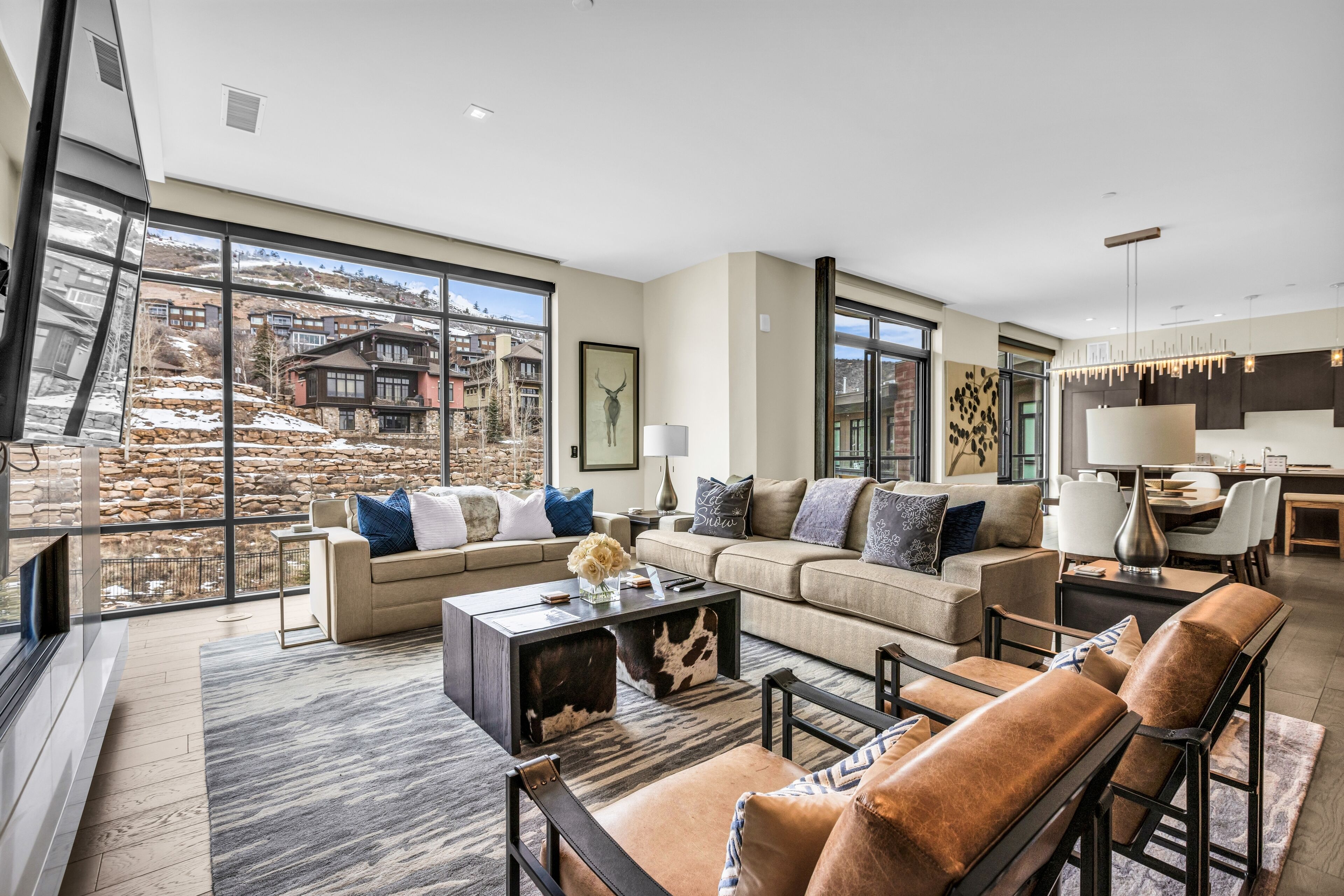 TV, peis, DVD-spiller og bøker