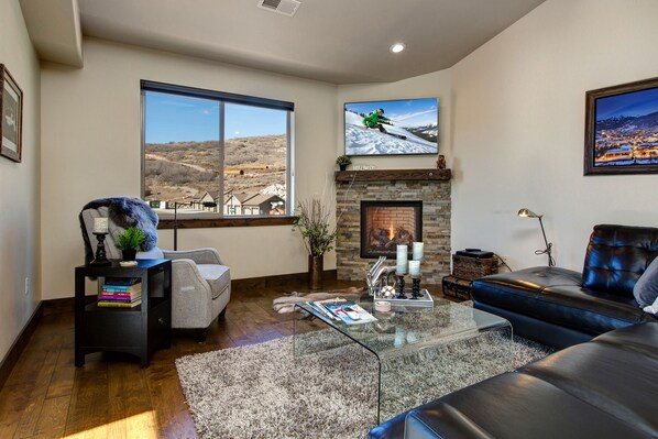 TV, fireplace, books