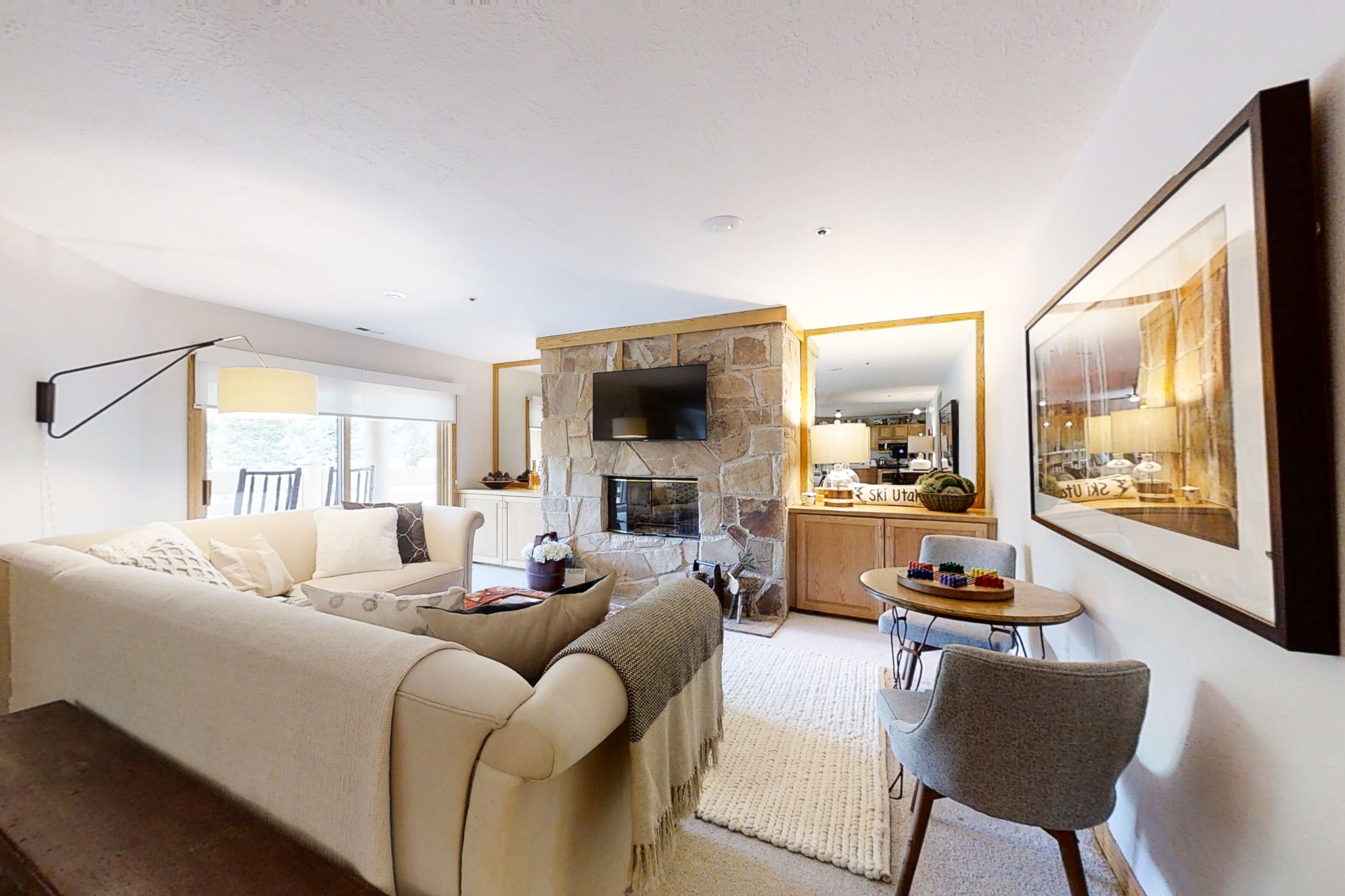 电视、壁炉、DVD 播放器、书