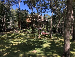 Property grounds - Modern secluded woods house with heated pool (East Hampton)