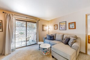 TV, fireplace, books