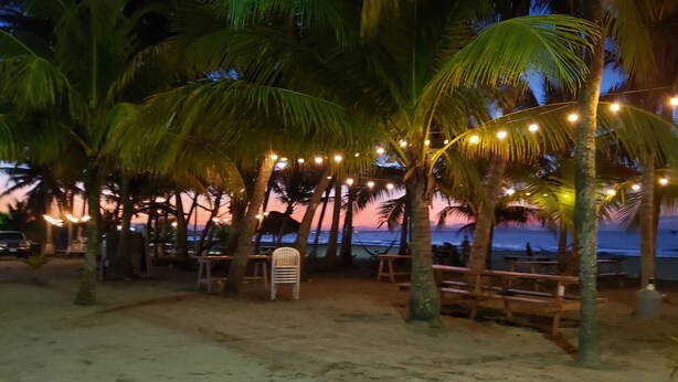 A beachside area with palm trees, string lights, and wooden benches.