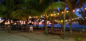 A beachside area with palm trees, string lights, and wooden benches.