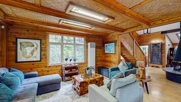 Télévision, cheminée, lecteur de DVD, livres