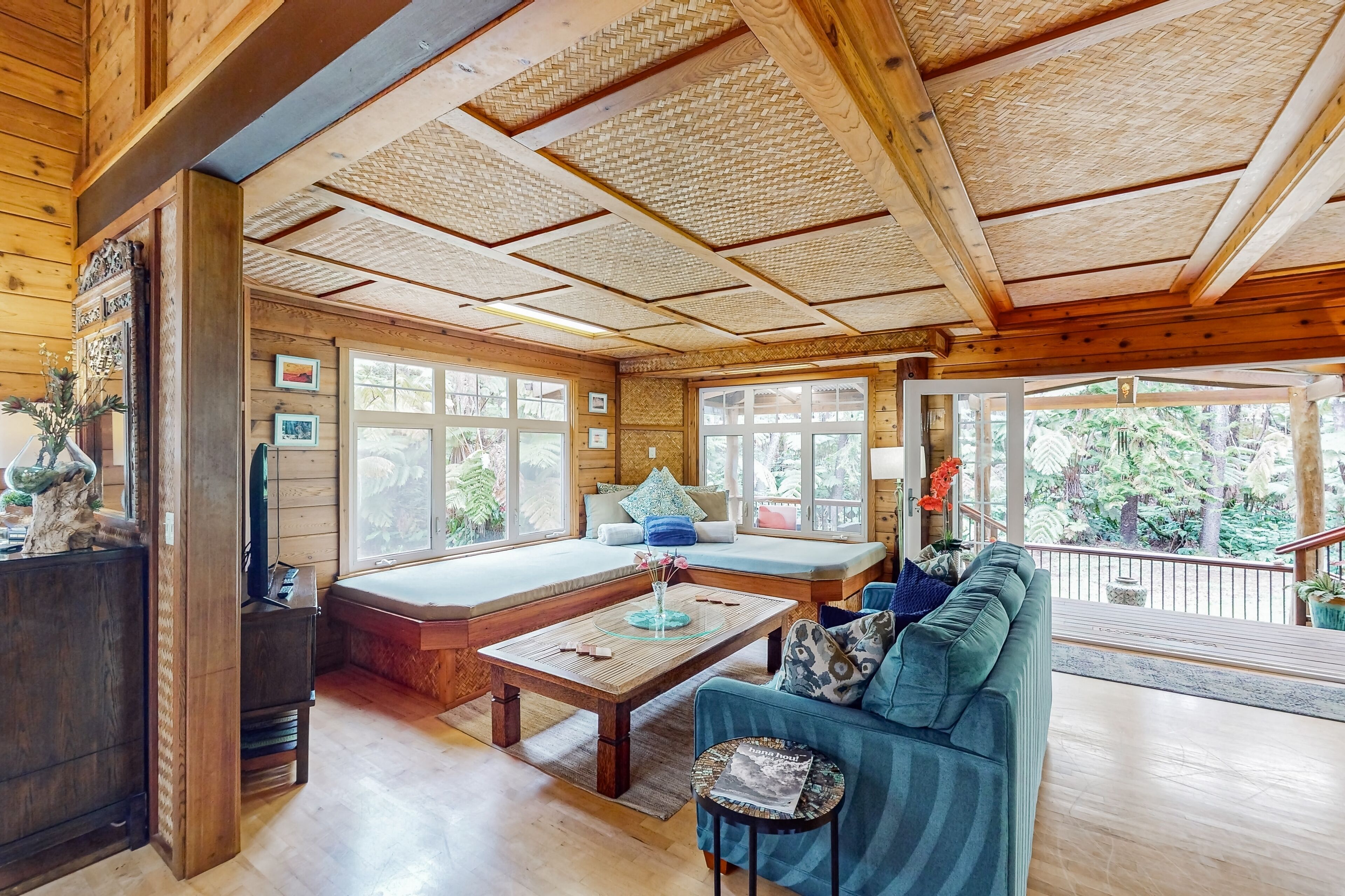 Télévision, cheminée, lecteur de DVD, livres