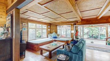 Télévision, cheminée, lecteur de DVD, livres