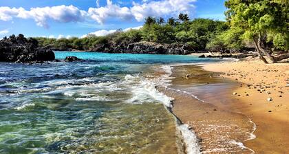 Ocean-view condo with pool, hot tub, lanai & tropical decor - near dining/shops