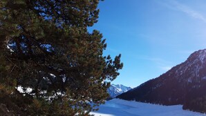 Un paysage montagneux aux sommets enneigés et aux forêts denses de pins.
