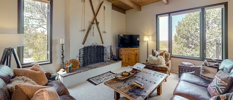 TV, fireplace, books