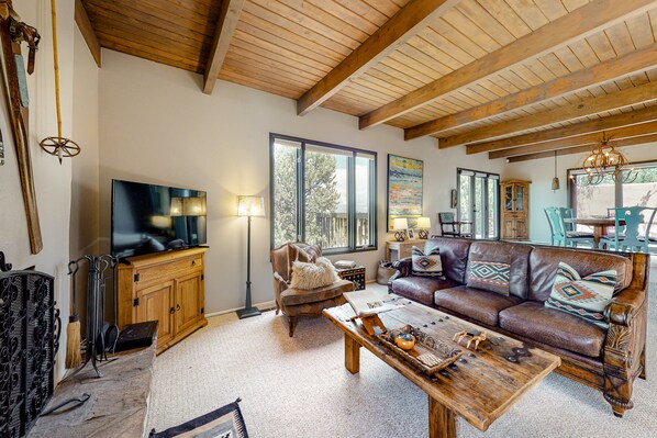 TV, fireplace, books