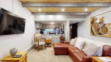 TV, fireplace, books, stereo