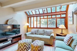 TV, fireplace, DVD player, books