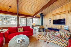 TV, fireplace, DVD player, books