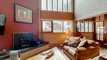 Télévision à écran plat, cheminée, lecteur de DVD, livres