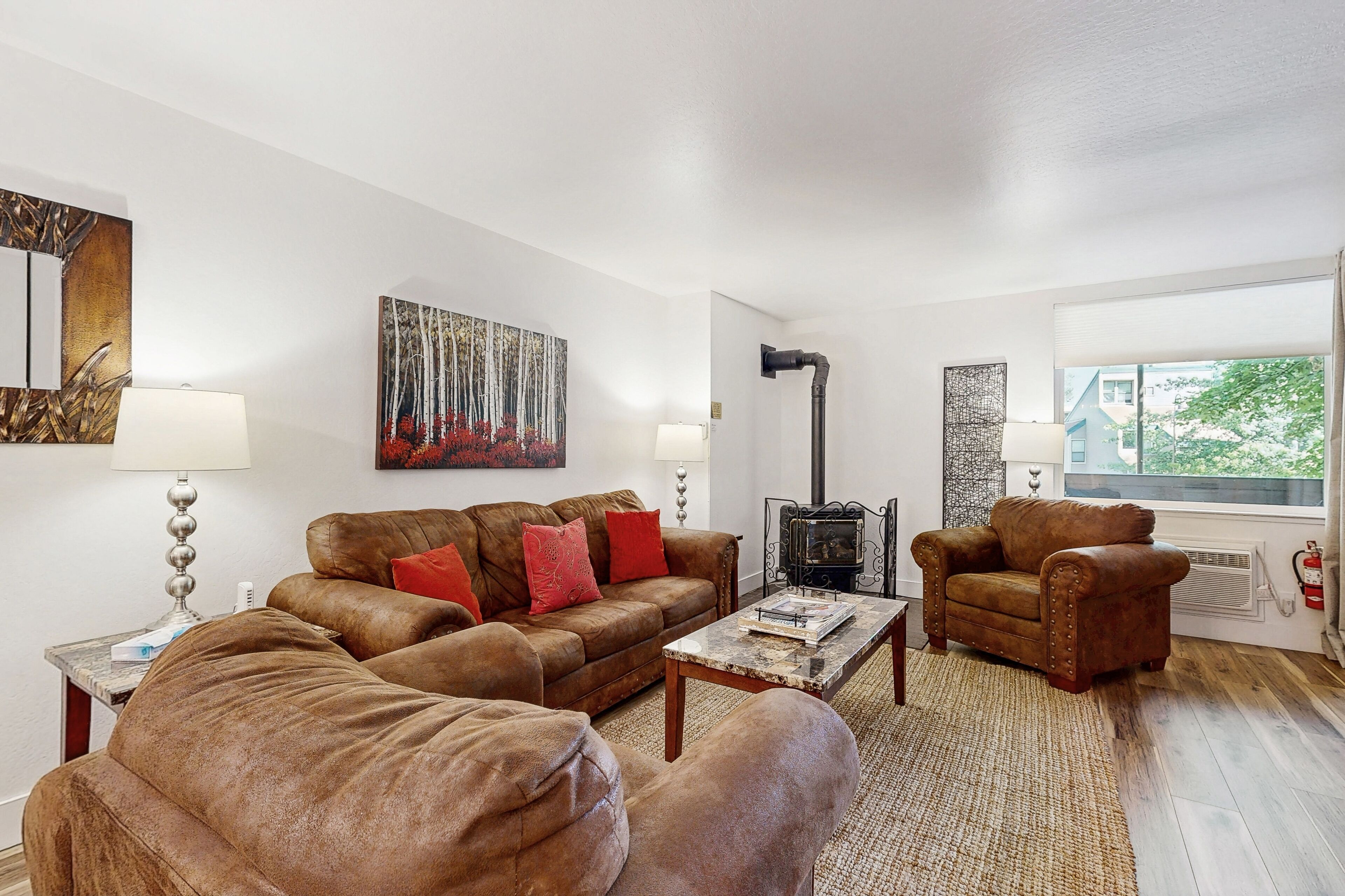 TV, fireplace, books