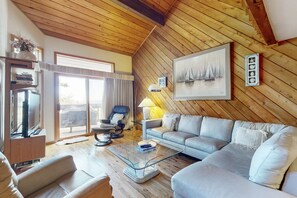 Télévision, cheminée, lecteur de DVD, livres