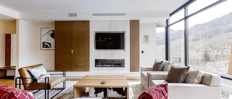 Televisión, chimenea, reproductor de DVD y libros