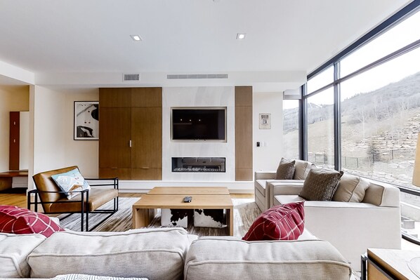 电视、壁炉、DVD 播放器、书