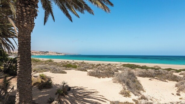 Playa