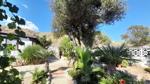 A garden pathway leading to a building with a white exterior and a patterned fence. - Villa Queen of the Sea - Top solarium and large garden (sciacca)