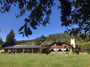 Front of property - Valle del Carrileufu (La Bolsa)