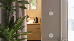 Una habitación con una planta grande, una ventana que da a vistas de follaje, un escritorio con una lámpara y un interruptor de luz en la pared.