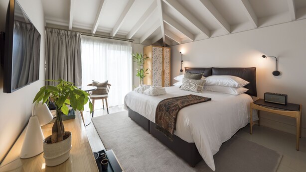 Un dormitorio moderno con una cama grande, mesitas de noche, un televisor y una planta en maceta.