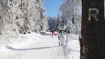 Pista de esqui coberta de neve, com árvores de ambos os lados.