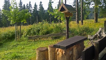 Wandern