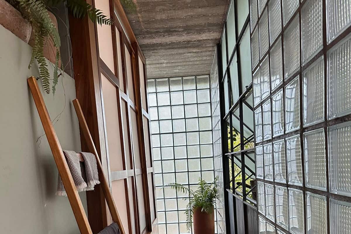 A narrow hallway with a wooden ladder leaning against the wall, a woven mat on the floor, and a potted plant.