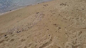 Ein sandiger Strand mit sanften Wellen, blauem Himmel und Bergen in der Ferne.